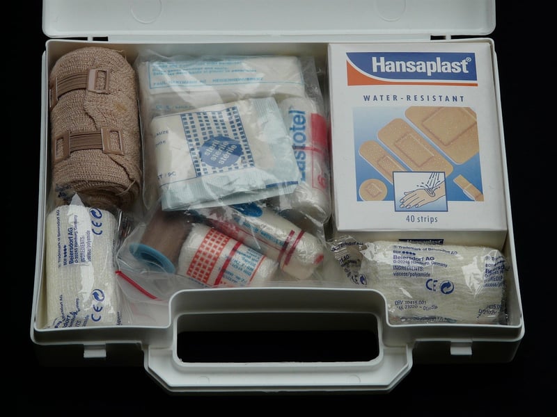 Wilderness First Aid